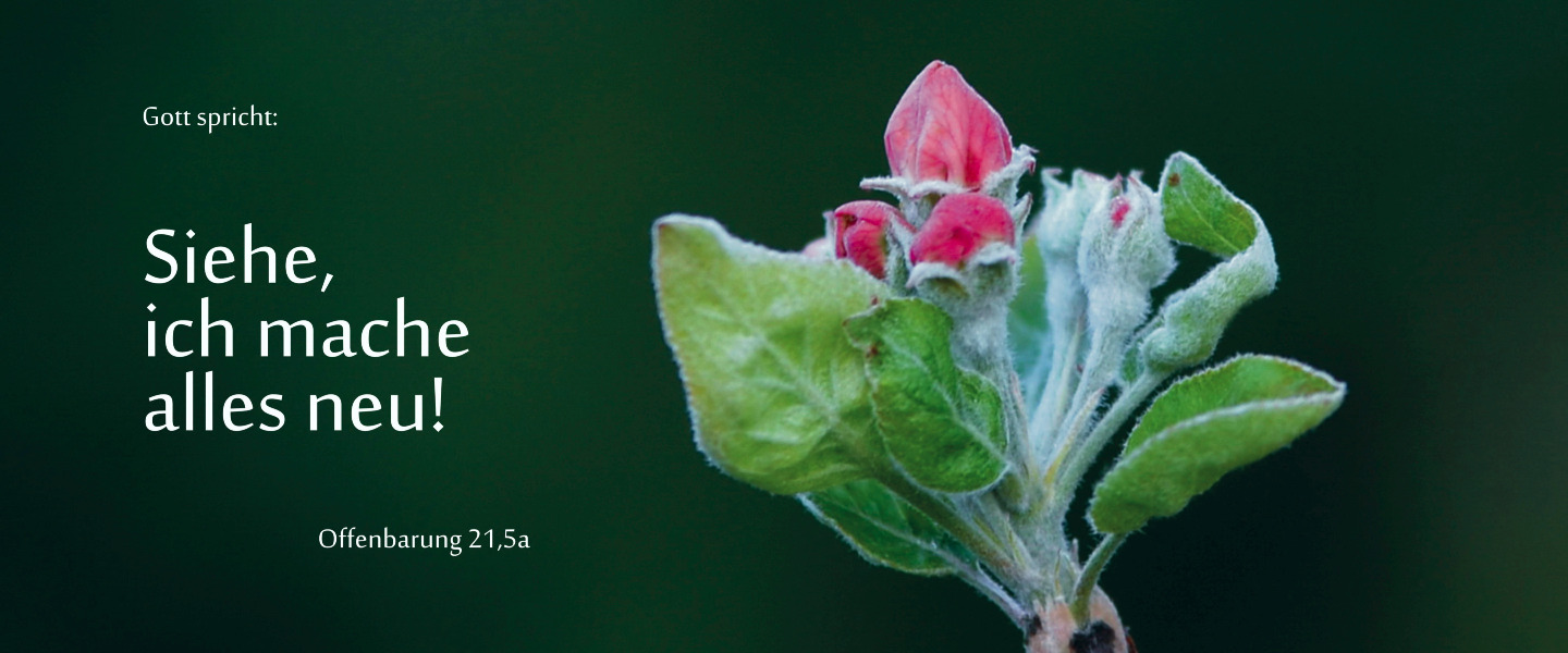 Motiv Jahreslosung 2026